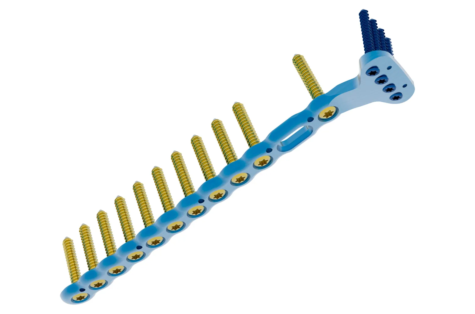 Osteosynthesis plate with screws, manufactured by Bioprotece