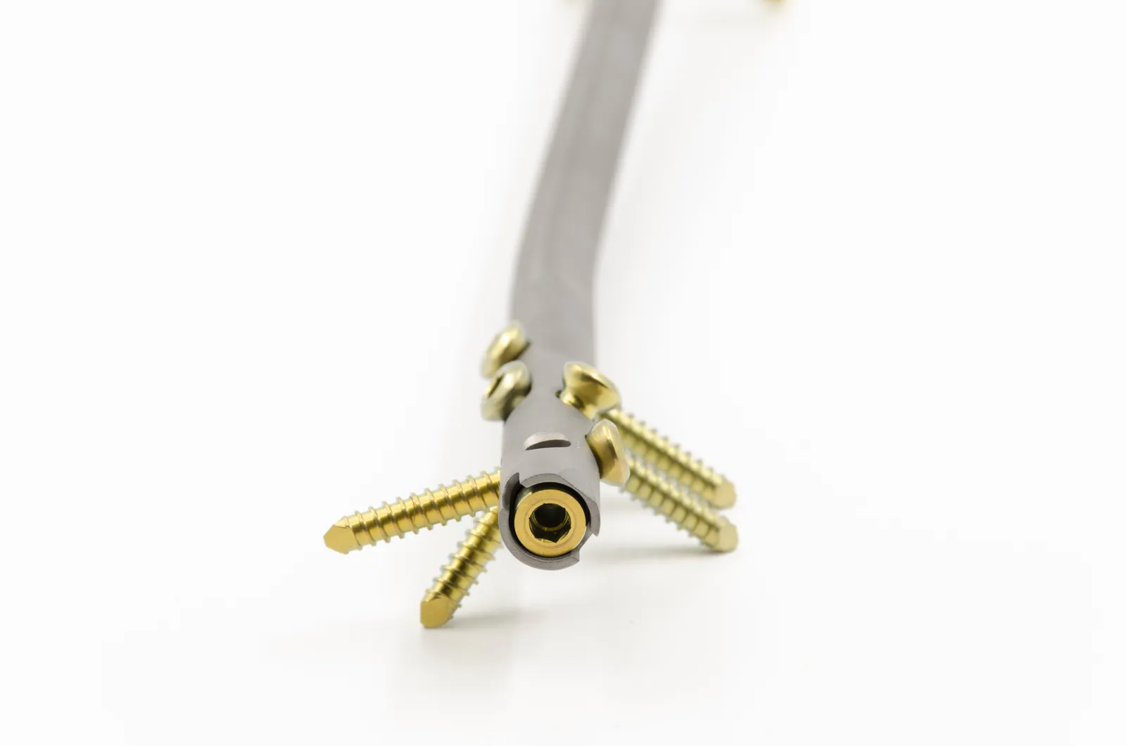 Polyaxial system with screws, manufactured by Bioprotece